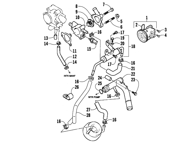 WATER PUMP AND THERMOSTAT ASSEMBLIES