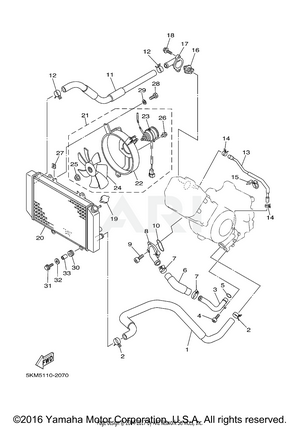 RADIATOR HOSE