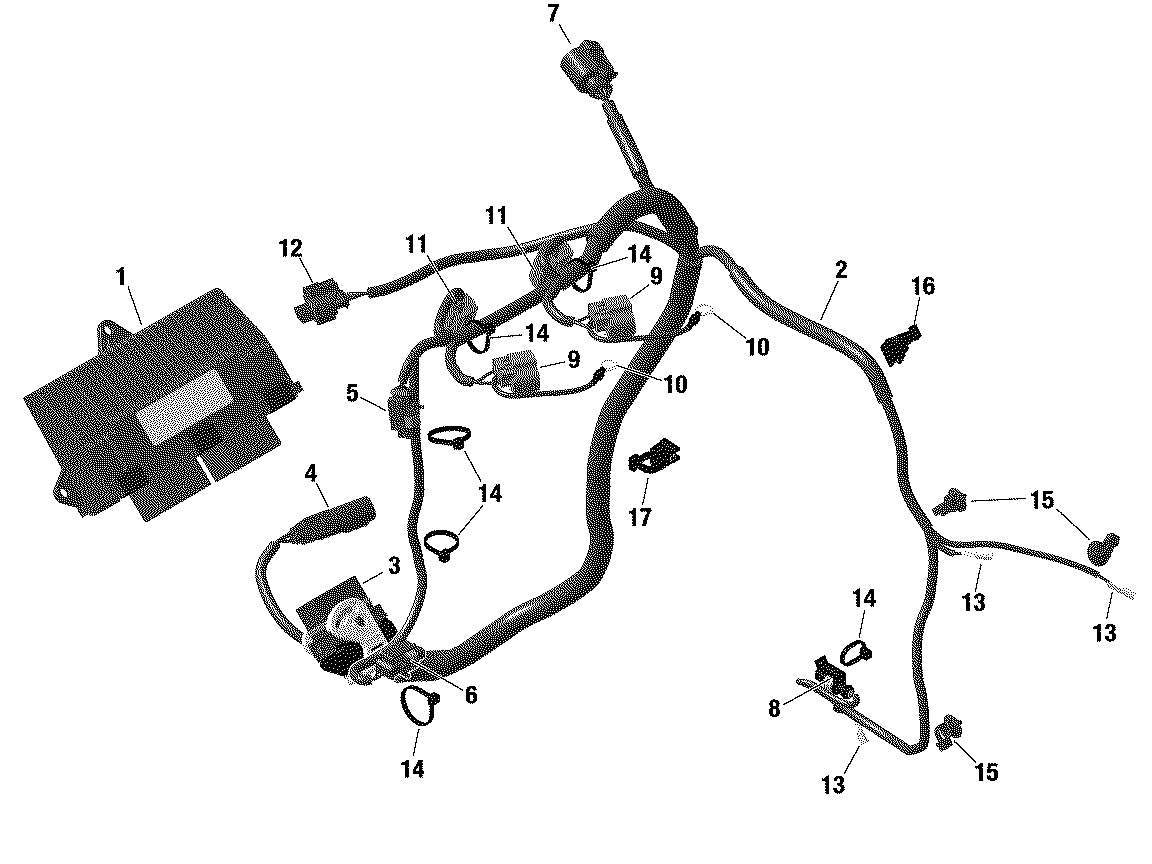 Electrical - Engine Harness / Electronic Module - 600 ACE