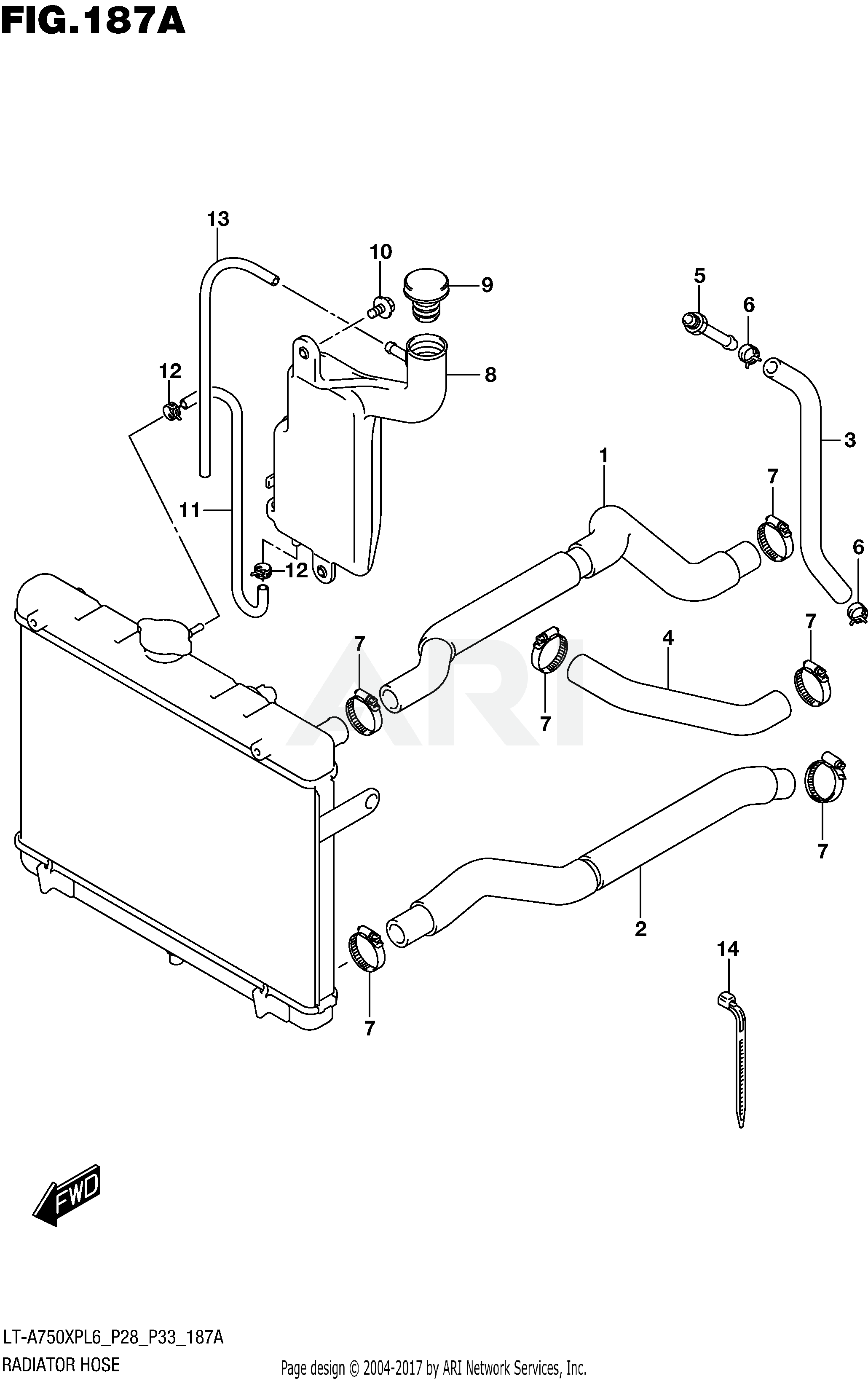 RADIATOR HOSE