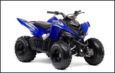 RAPTOR 90 (YFM09RYXJL/YFM09RYXJW)