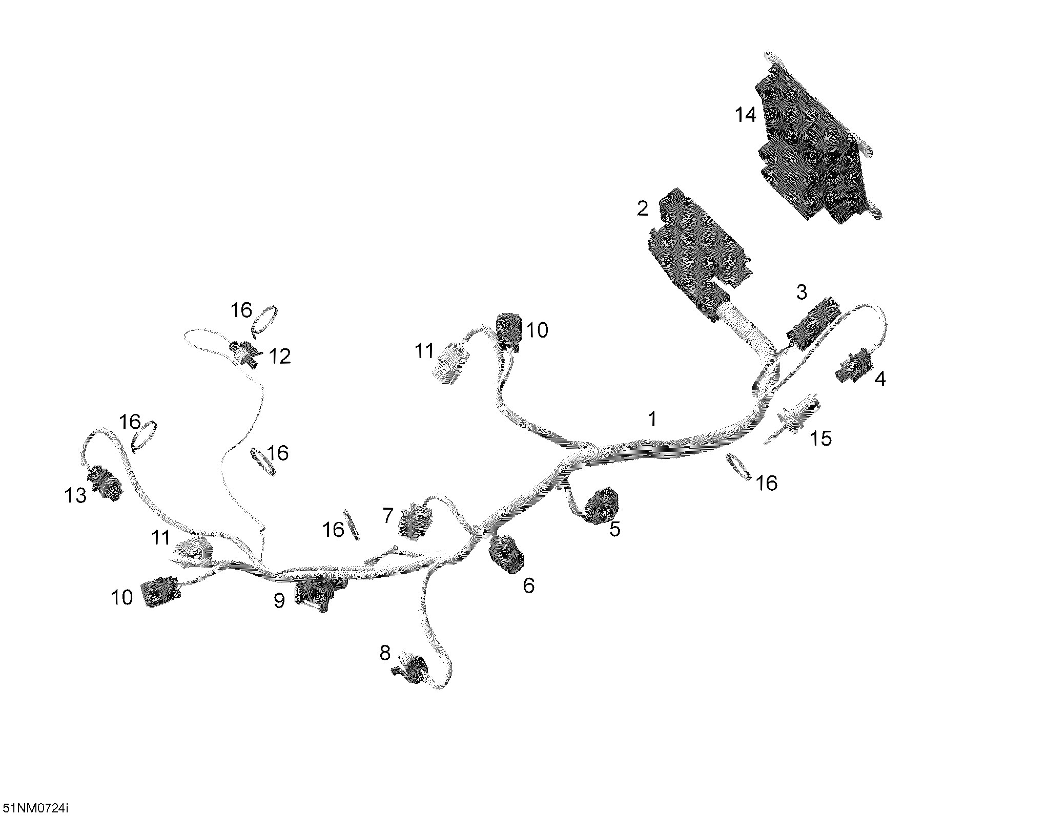 Engine Harness And Electronic Module