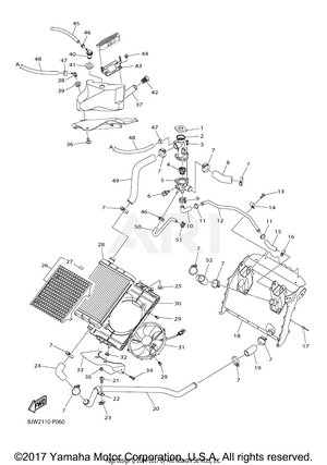 RADIATOR HOSE