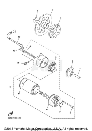 STARTER CLUTCH