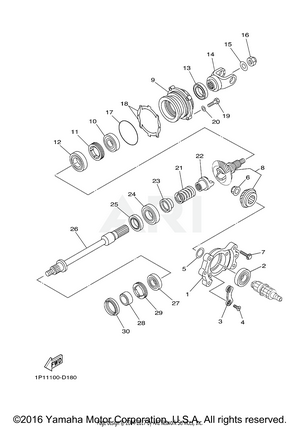 MIDDLE DRIVE GEAR