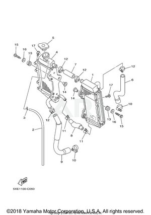 RADIATOR HOSE