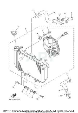 RADIATOR HOSE