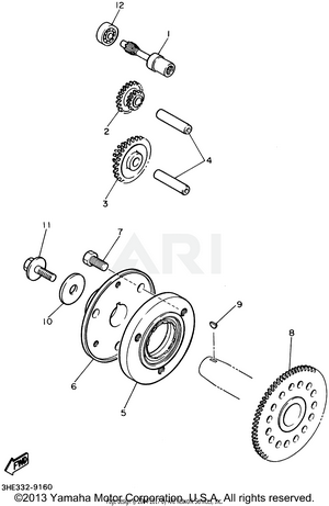 STARTER CLUTCH