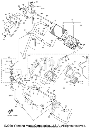 RADIATOR HOSE