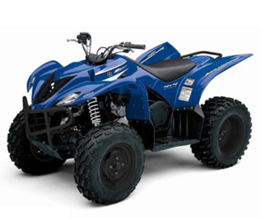 WOLVERINE 450 4WD SPORT (YFM45FXV)