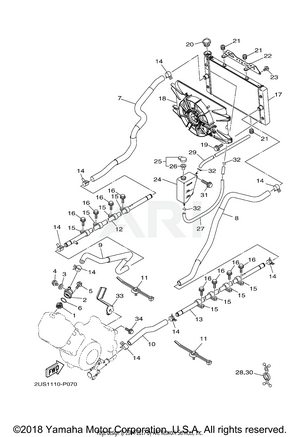 RADIATOR HOSE