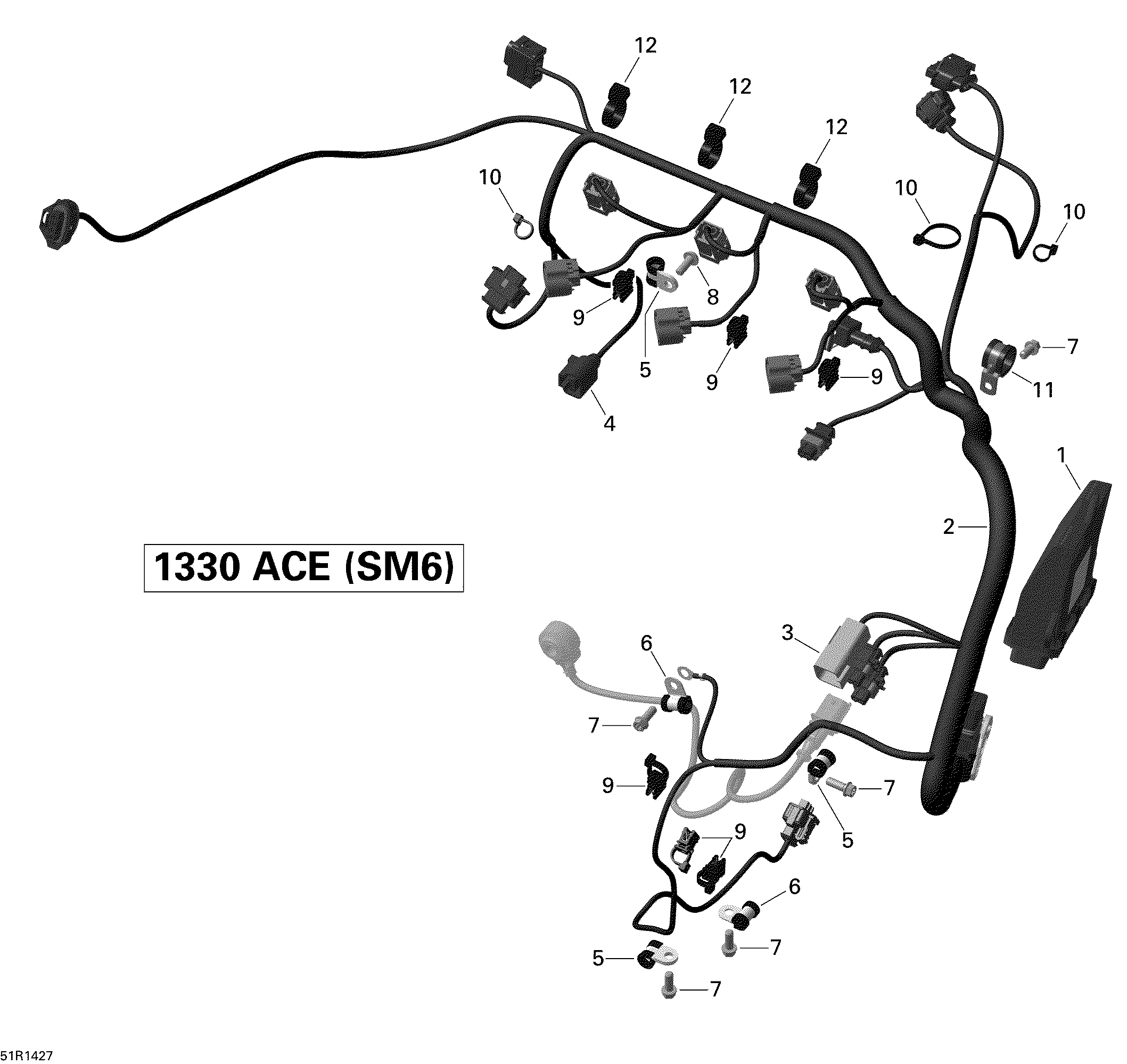 Engine Harness And Electronic Module