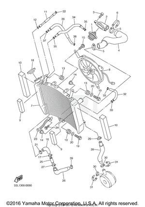 RADIATOR HOSE