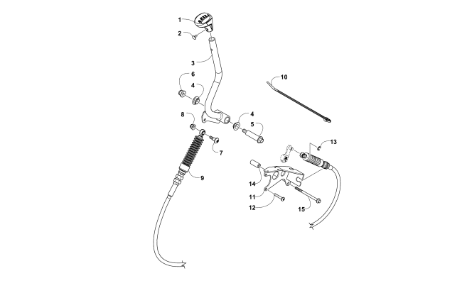 SHIFTER ASSEMBLY