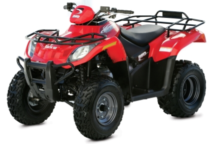ATV 250 (2X4 GREEN) [A2003ATE2AUSG-2003-137]