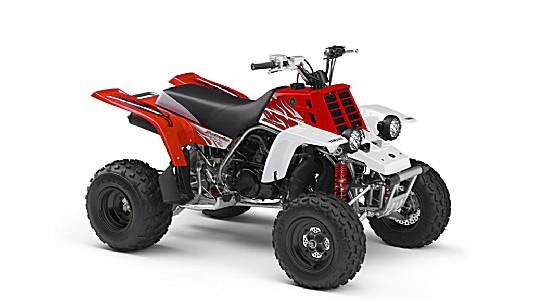 BANSHEE (YFZ350V)