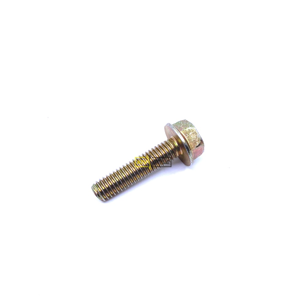 Болт М6х25 Can Am 420240034