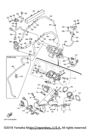 INTAKE