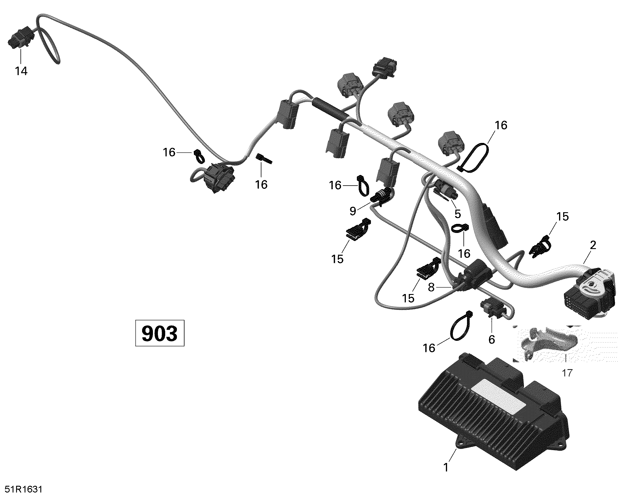 Engine Harness and Electronic Module - 900 HO ACE