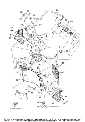 RADIATOR HOSE