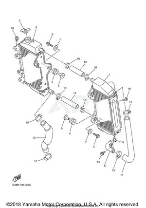 RADIATOR HOSE