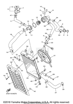 RADIATOR HOSE