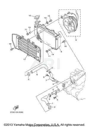 RADIATOR HOSE