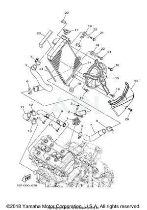 RADIATOR HOSE