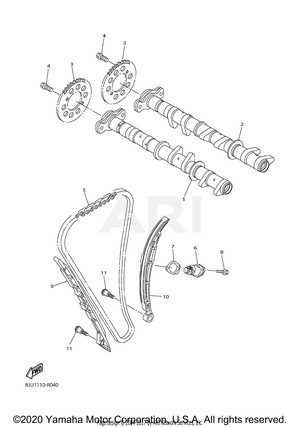 CAMSHAFT & CHAIN