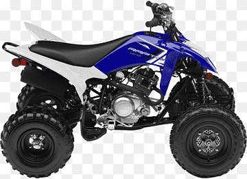 RAPTOR 125 (YFM125RDW/YFM125RDL)