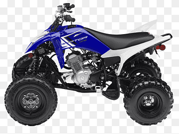 RAPTOR 80 (YFM80WS)