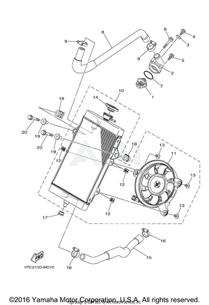 RADIATOR HOSE