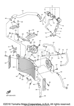 RADIATOR HOSE