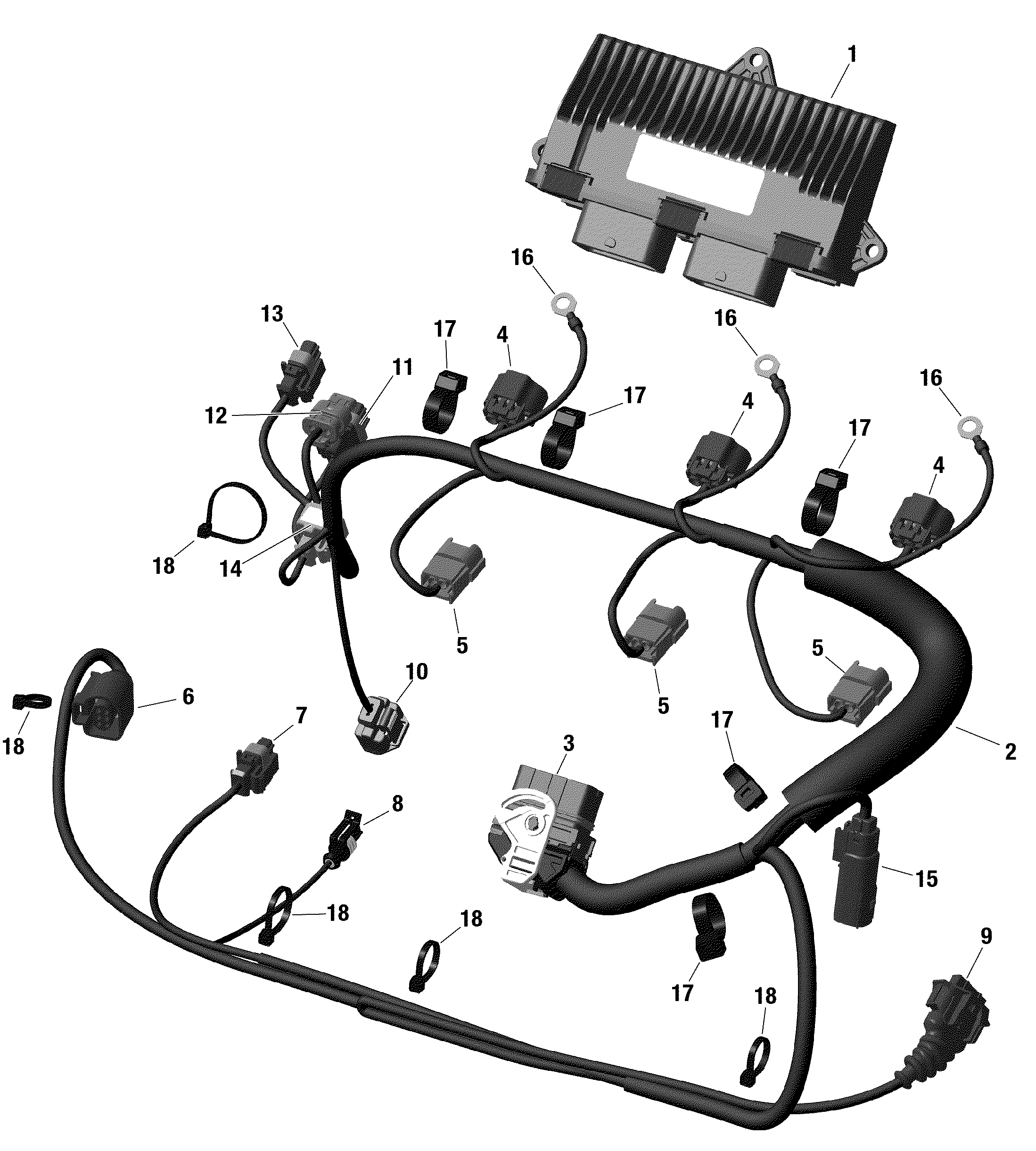 Engine Harness And Electronic Module