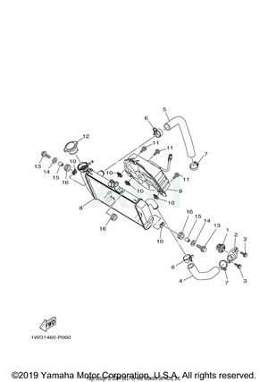 RADIATOR HOSE