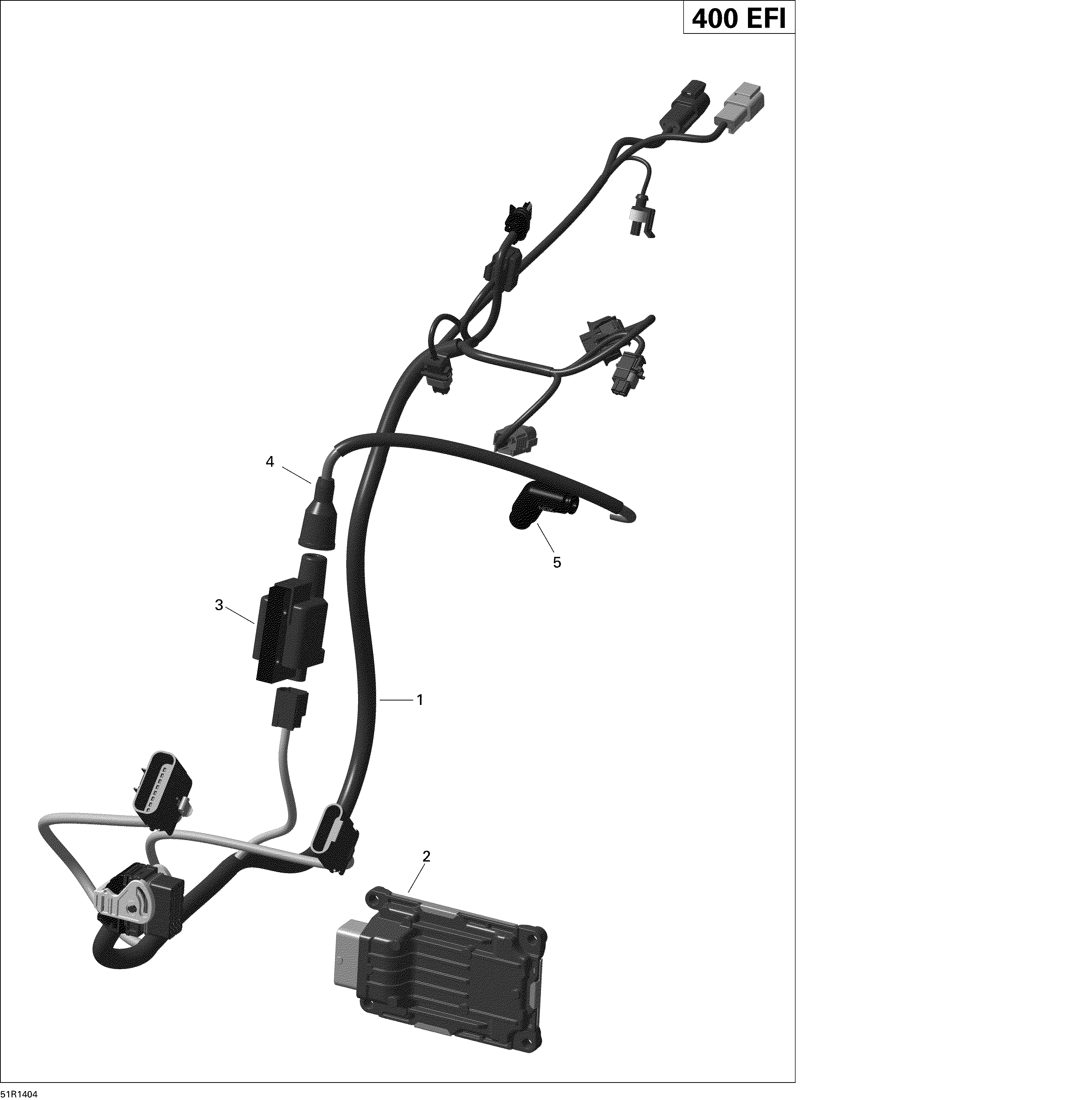 Engine Harness And Electronic Module