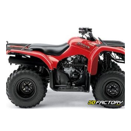 BRUIN 250 (YFM250BT)
