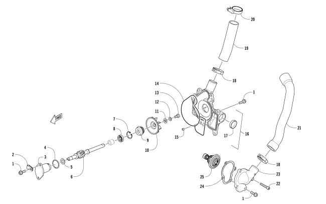 WATER PUMP AND THERMOSTAT