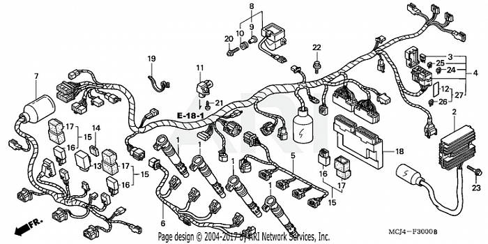 WIRE HARNESS (1)