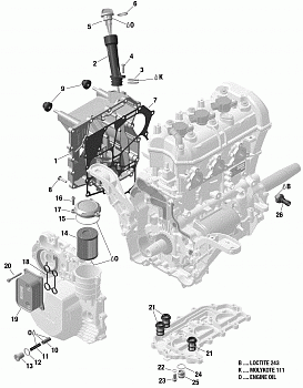 Engine - Lubrication - System - 900 ACE