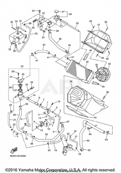 RADIATOR HOSE