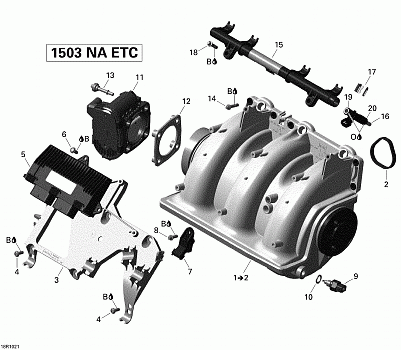 Air Intake Manifold And Throttle Body V1