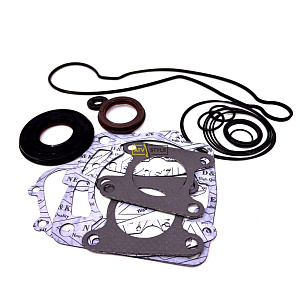 Комплект прокладок полный SPI для  Polaris 700 09-711300