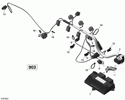 Engine Harness and Electronic Module - 900 ACE