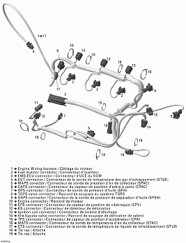 Engine Harness