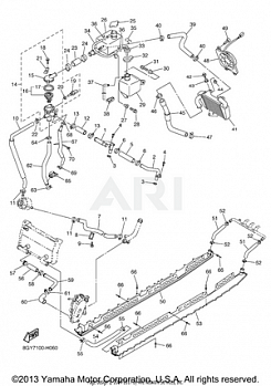 RADIATOR HOSE