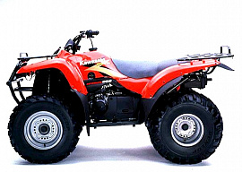 Kawasaki Prairie 300 2001