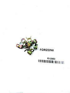 Комплект хомутов Forzoni FS-2003 8мм (10шт)
