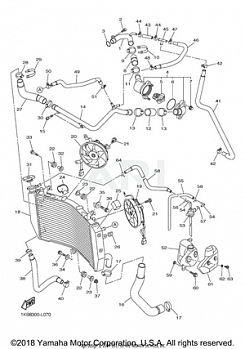 RADIATOR HOSE