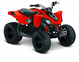 Can-am DS90 2020